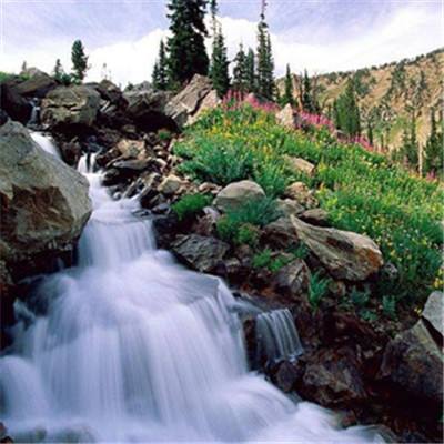 万博体育APP网址