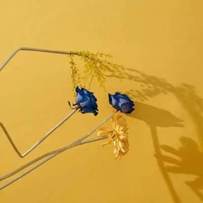 乐鱼体育app下载 - 乐鱼体育最新官方下载